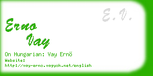 erno vay business card